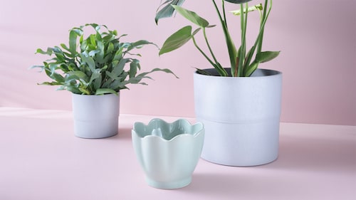 花盆和植物 Ikea