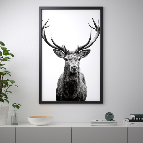 Bjorksta Picture With Frame Horns Black Ikea