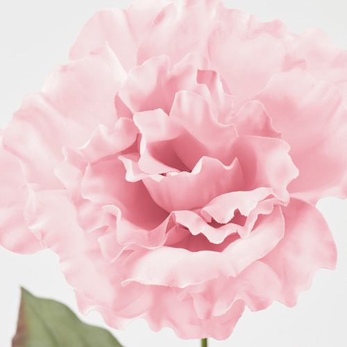 smycka artificial flower ranunculus/dark pink - ikea