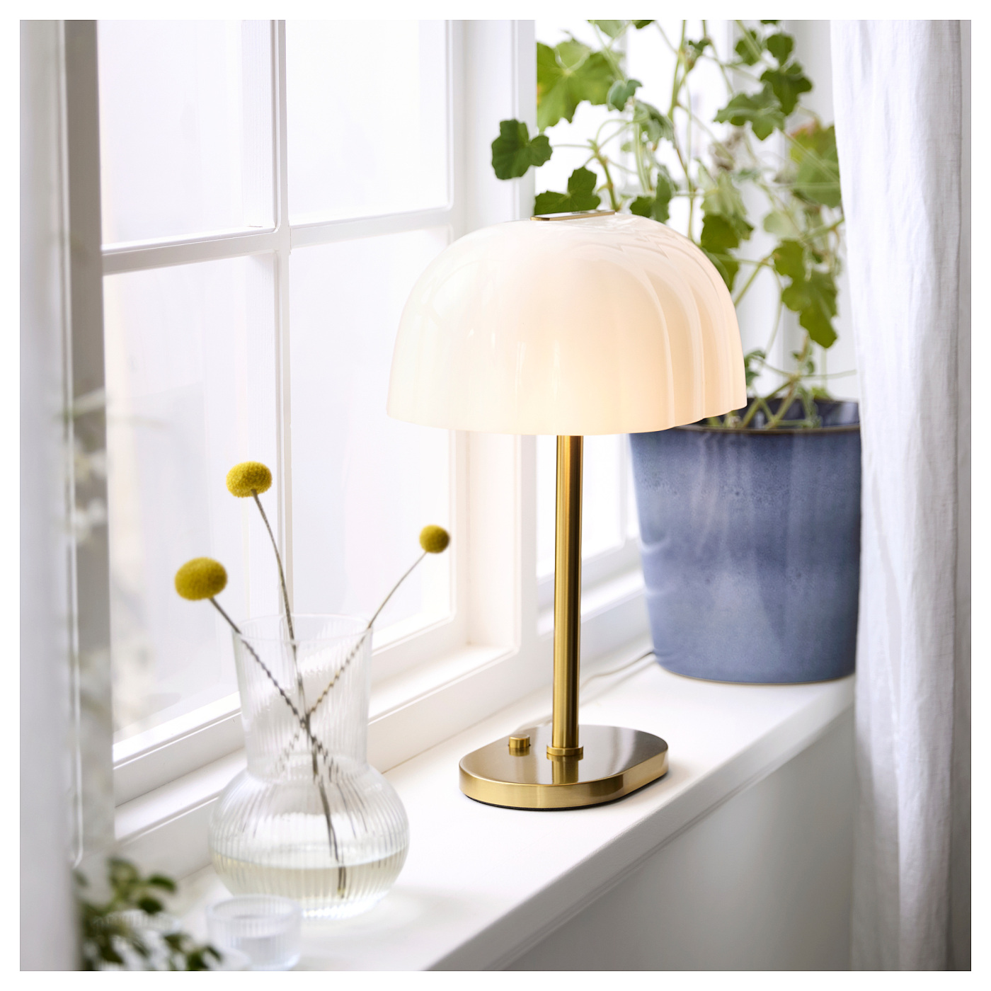 ins-image