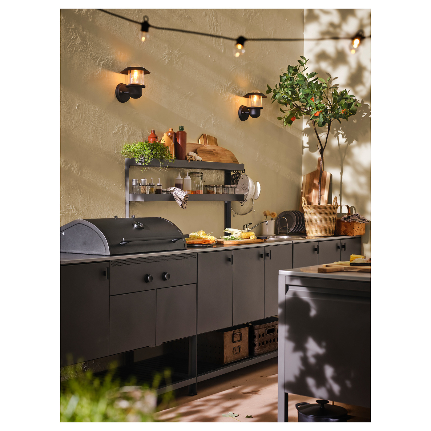 ins-image