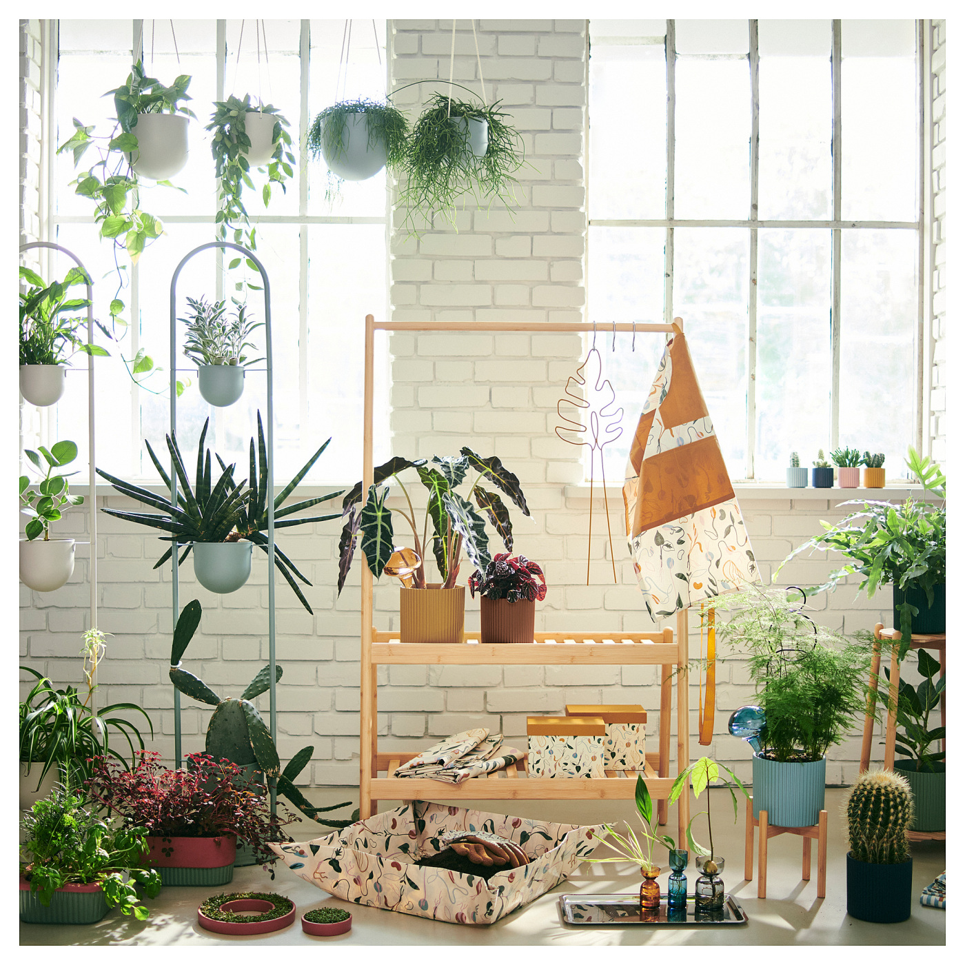 ins-image