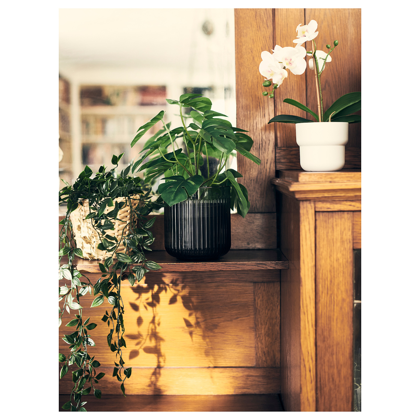ins-image
