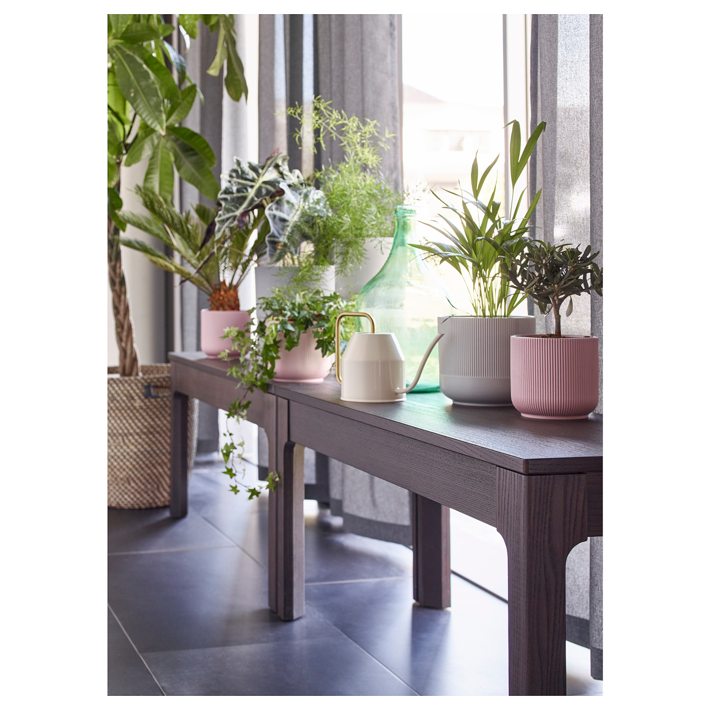 ins-image