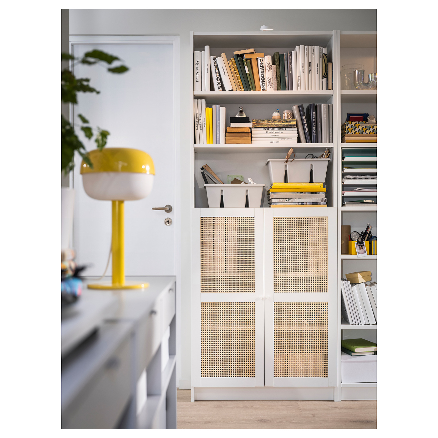 ins-image
