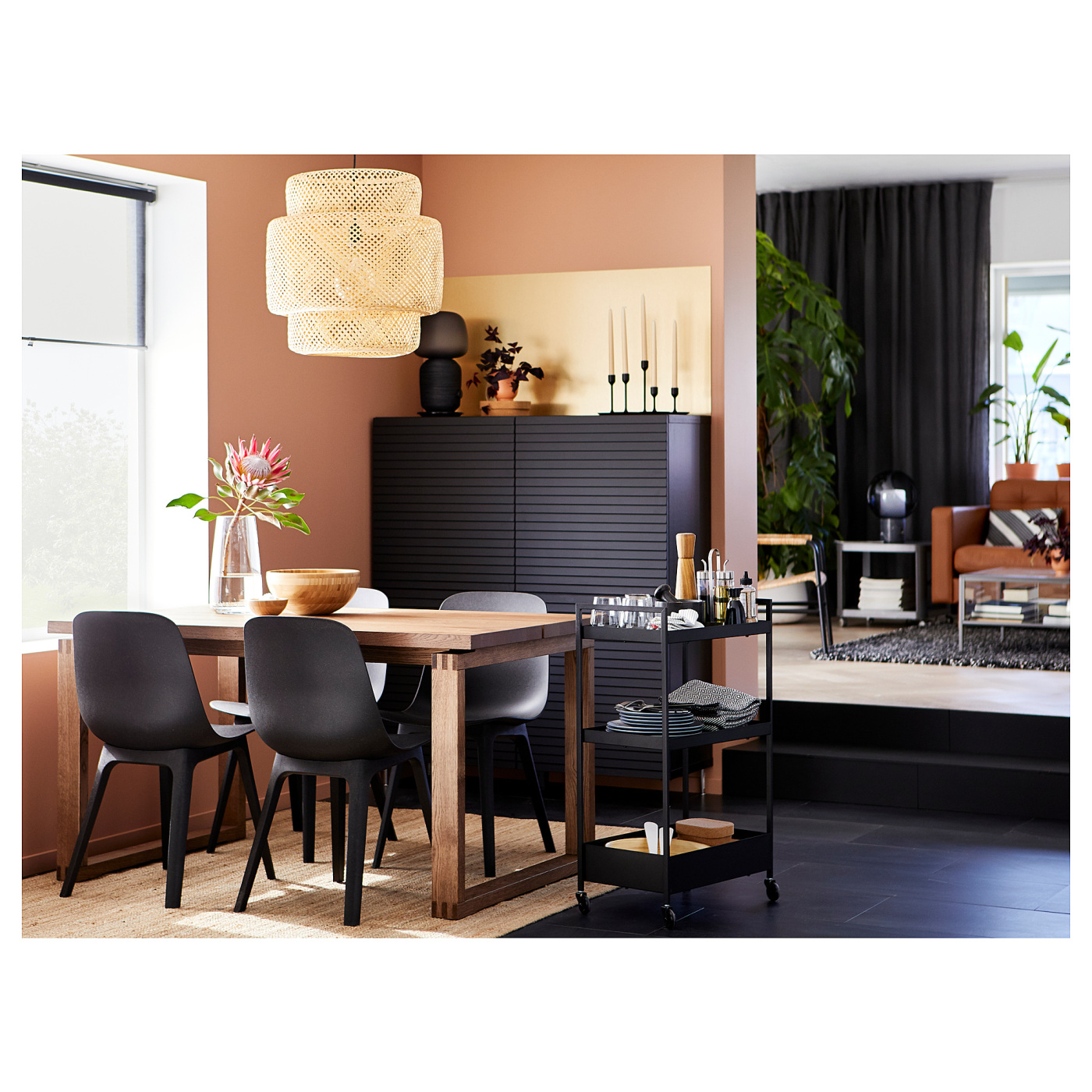 ins-image