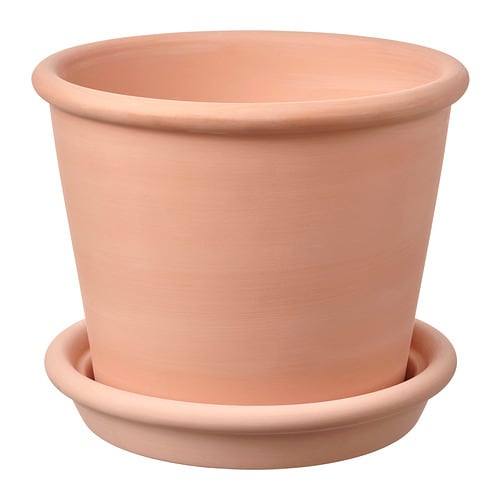 MUSKOTBLOMMA 慕斯布隆