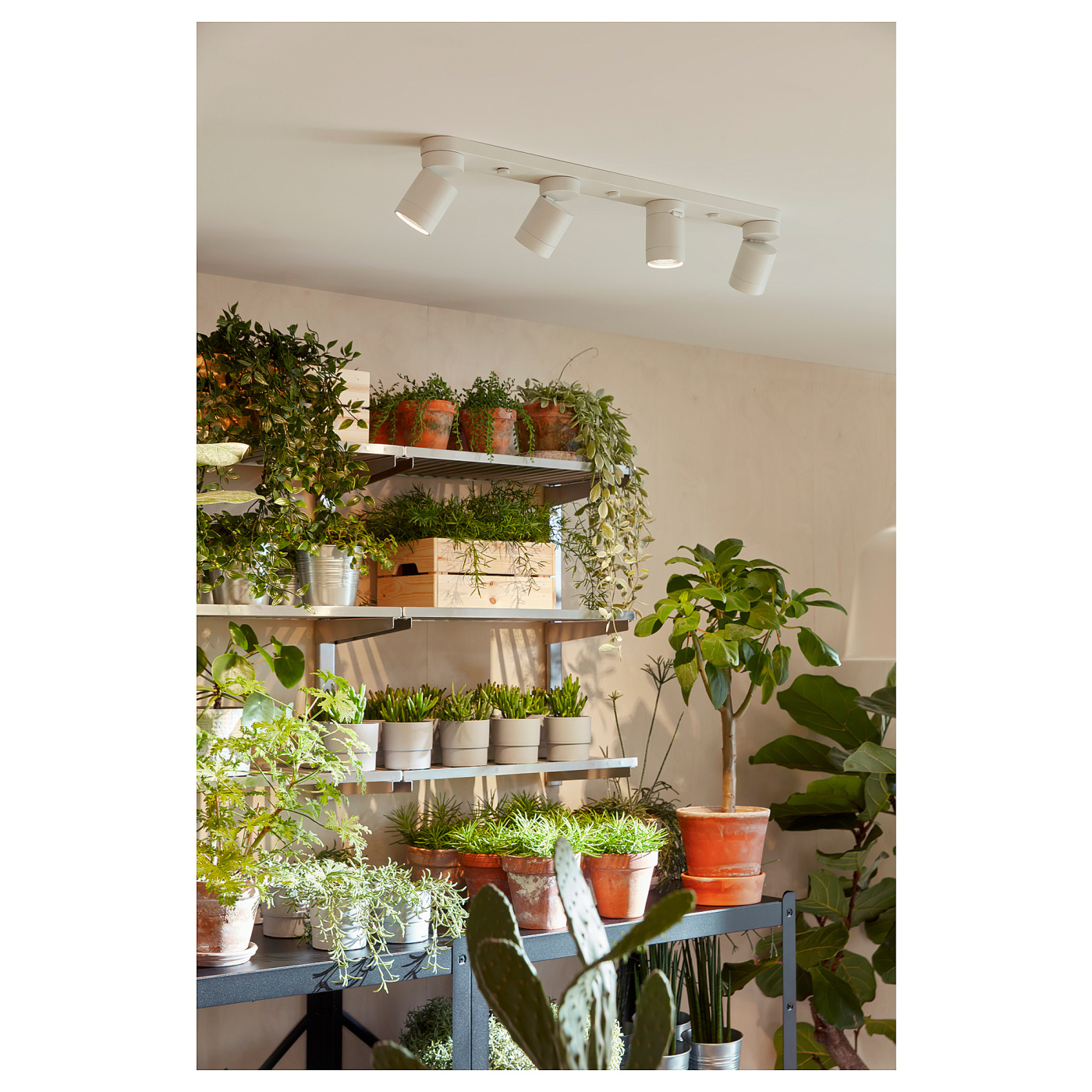 ins-image