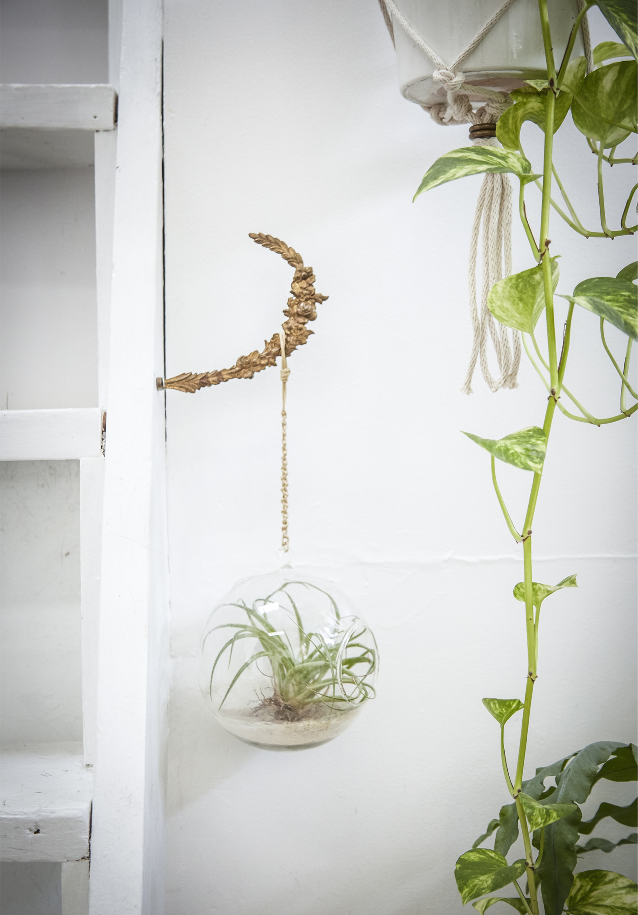 宜家 用室内植物装点家的创意 Ikea