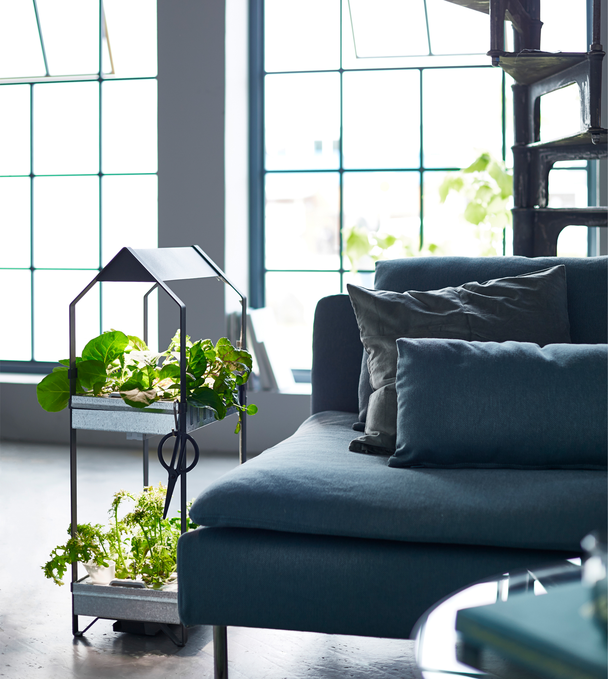 Easy indoor gardening, part 3: Decorate with herbs & greens - IKEA