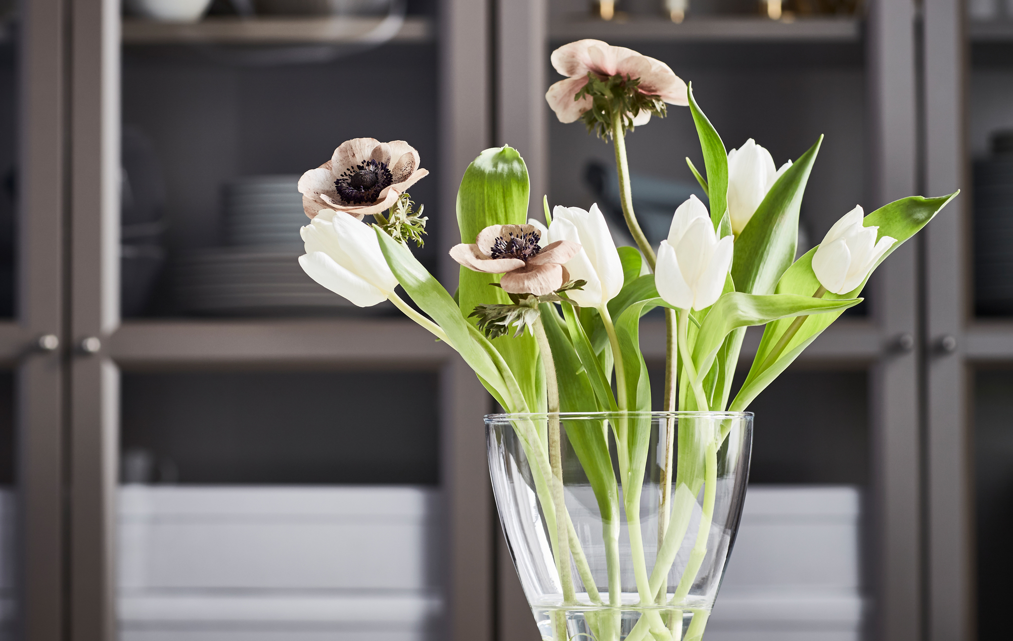宜家 植物的力量 Ikea