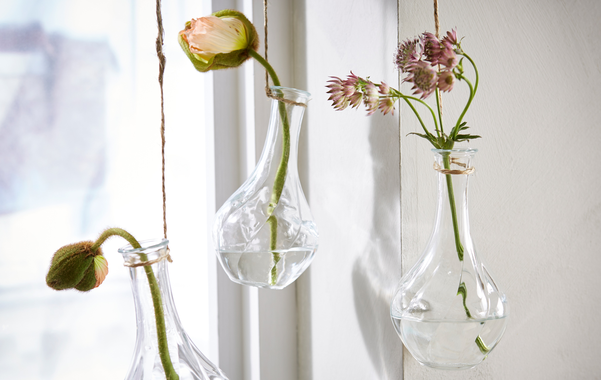 宜家 使用夏季植物装饰房间的5种方法 Ikea