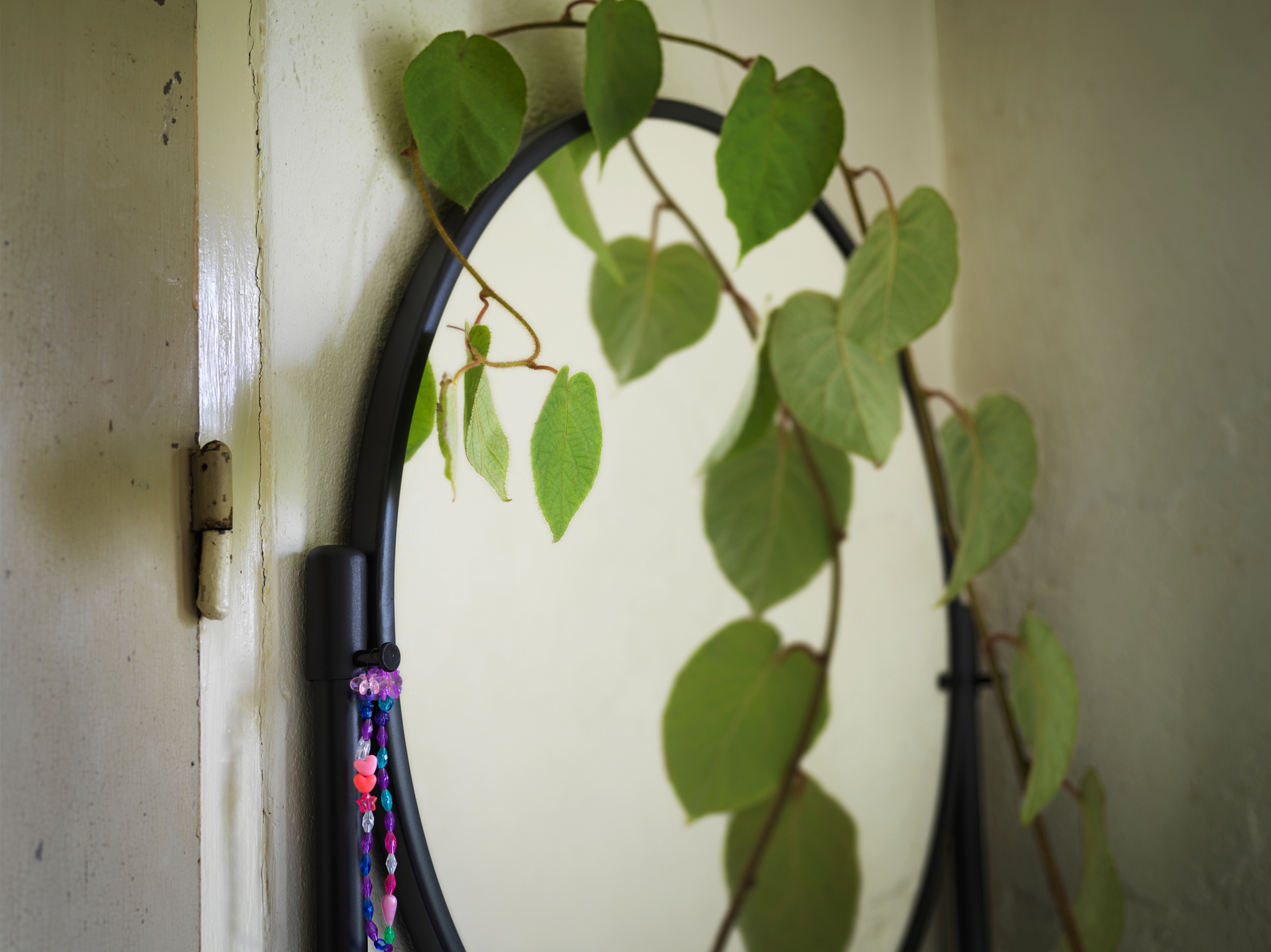 A close-up of the round mirror of the black KORNSJÖ cabinet with the vine of a plant climbing up its side.