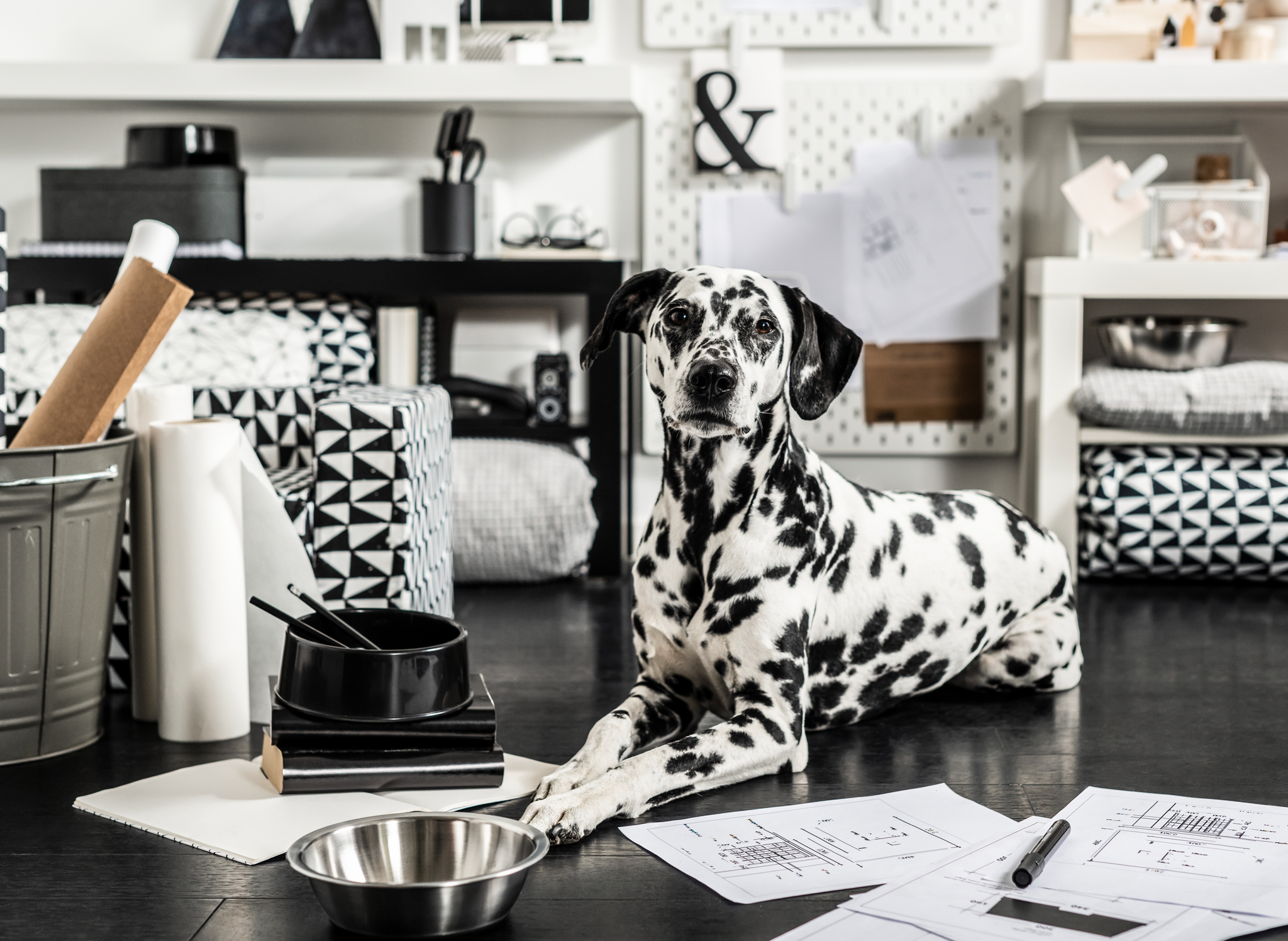 A dog is sitting in the middle of a room surrounded by LURVIG blankets, cushions and a steel eating bowl.
