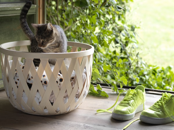 A kitten is standing inside a TJILLEVIPS poplar basket filled with laundry, beside a pair of neon green sneakers.