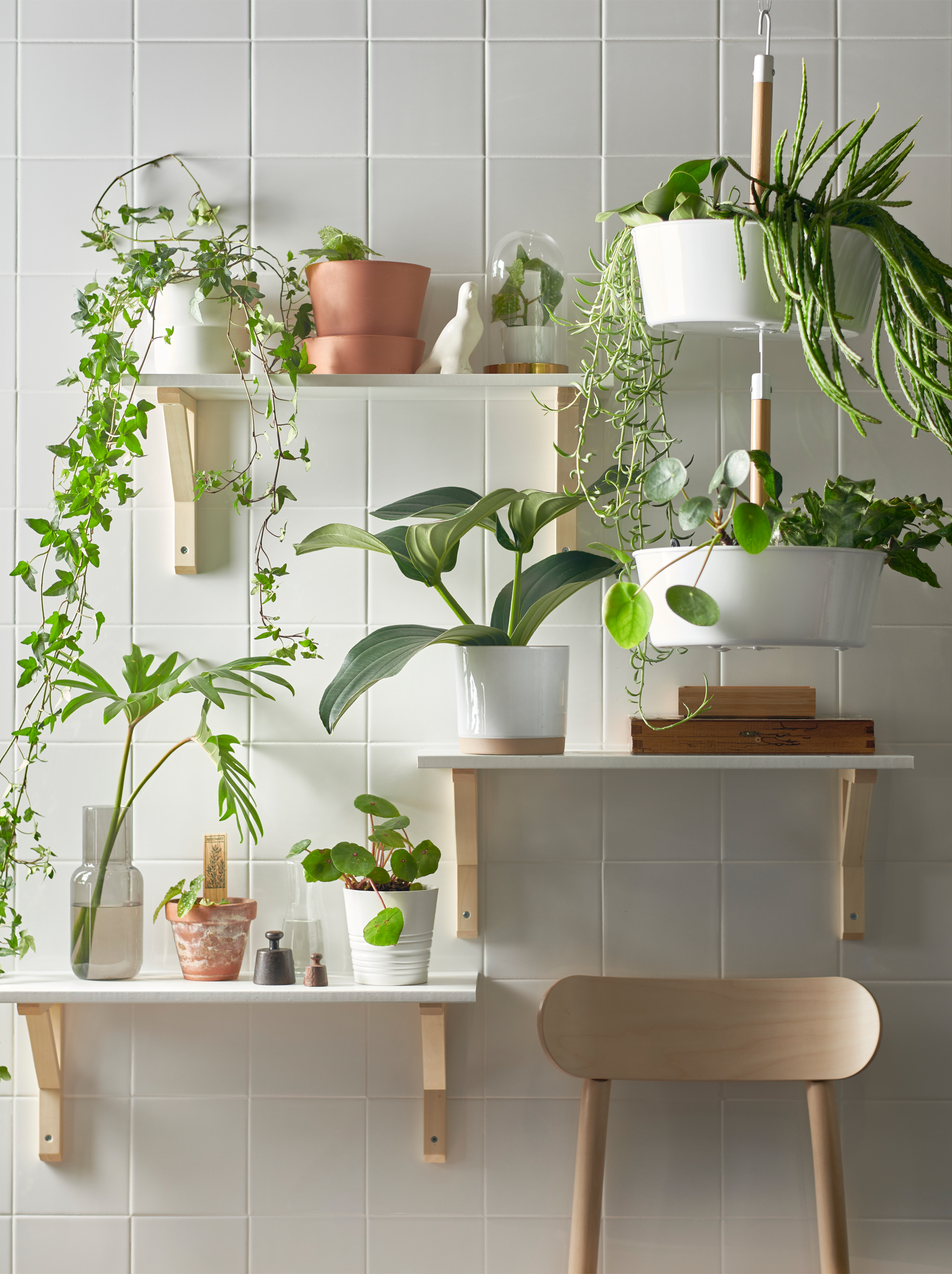 The power of plants IKEA