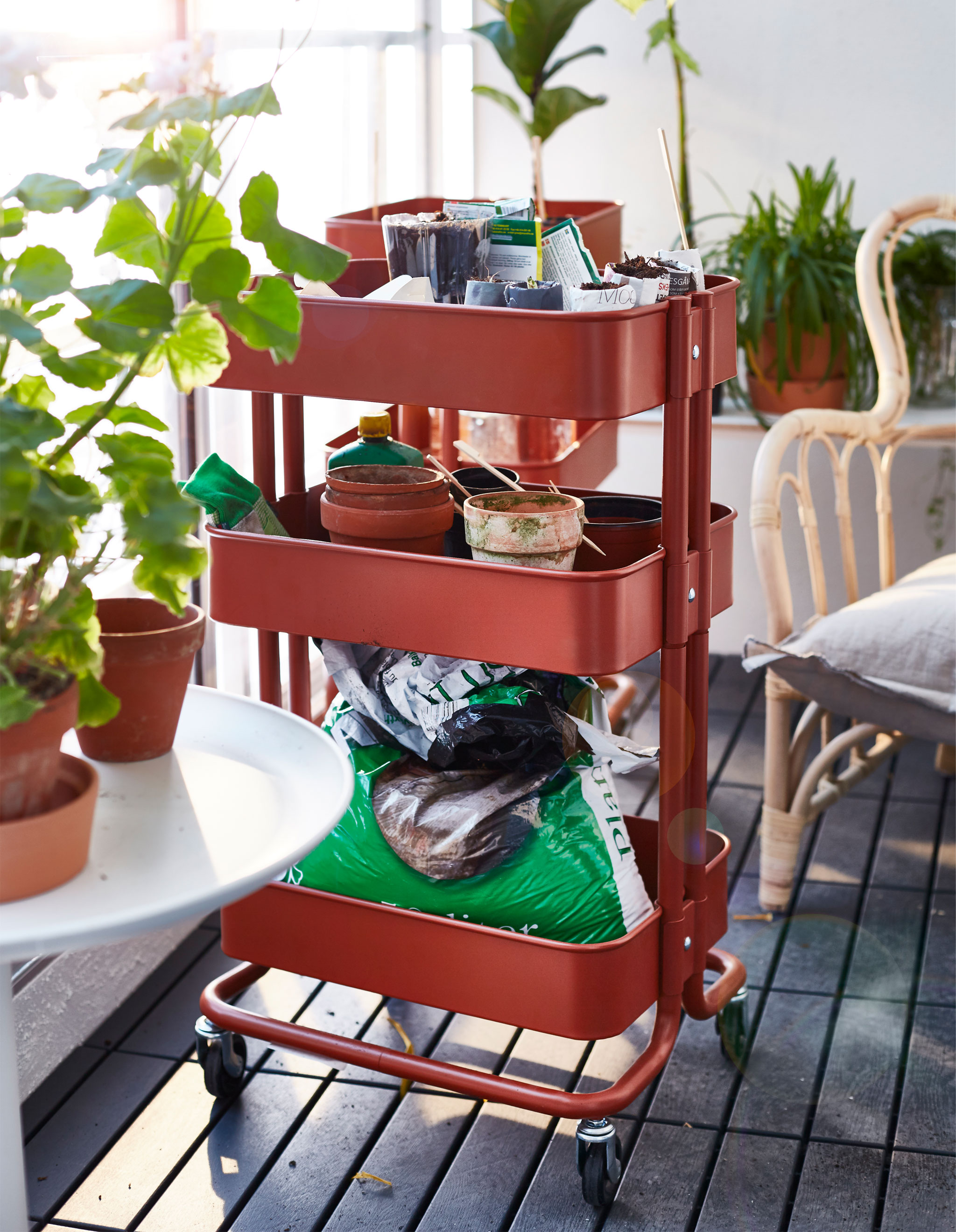 A red trolley is filled with gardening accessories and plants.