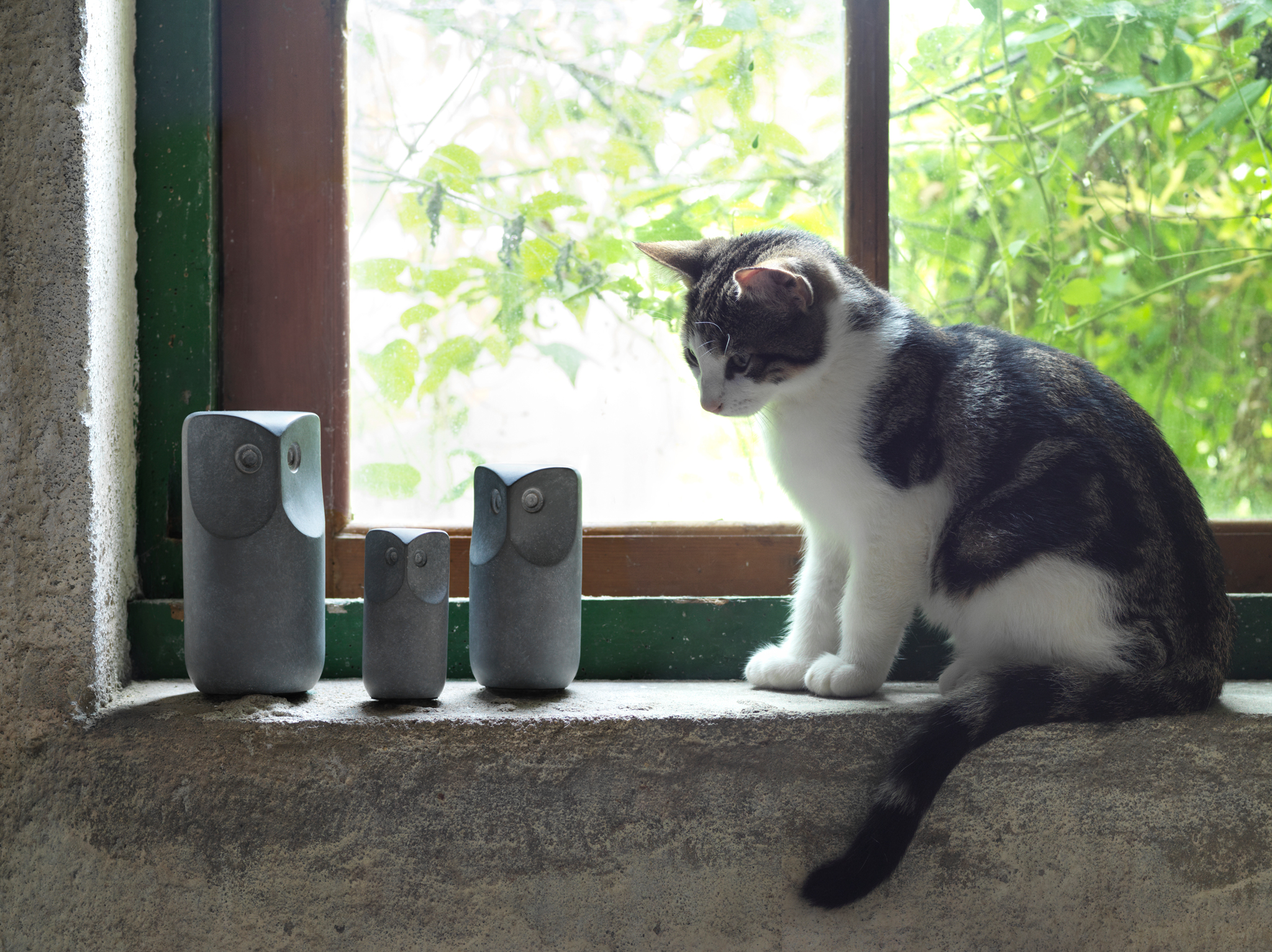 A small white and grey cat sits on a windowsill and looks at three grey TONAD decorative owls made of concrete.