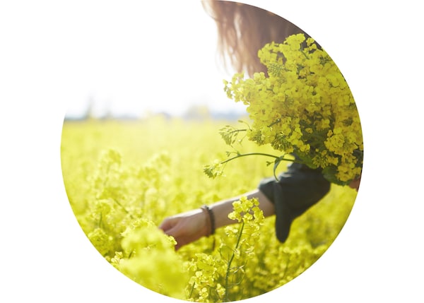 A woman is gathering flowers in a sunny field.