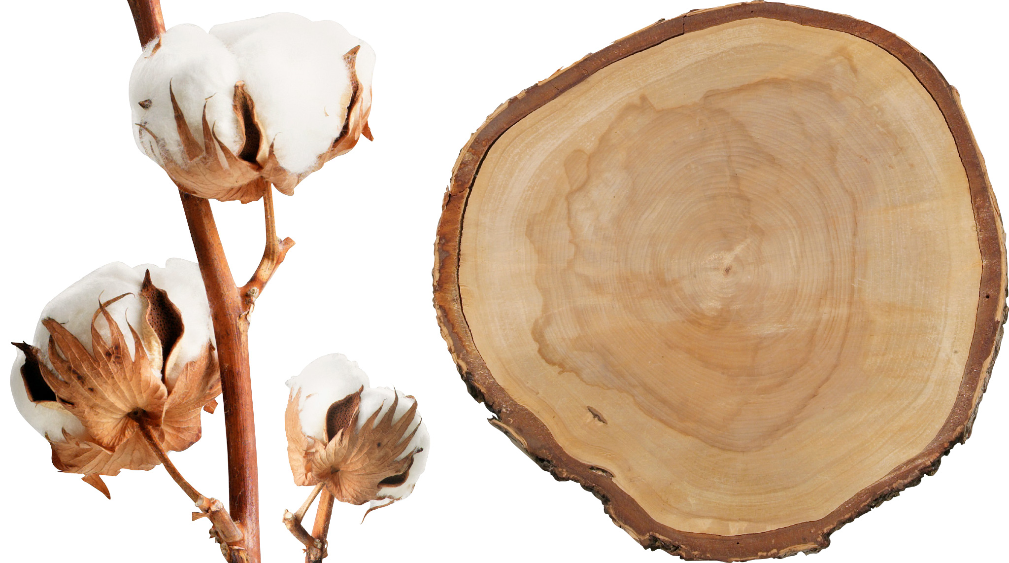 Cotton and wood from more sustainable sources.