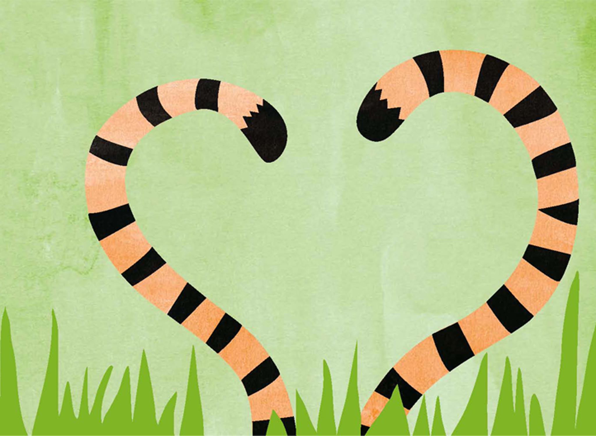 色彩缤纷的老虎尾巴插图.