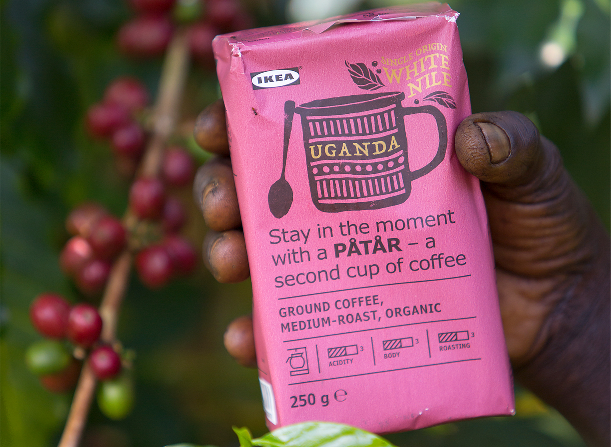 特别版p03t03r咖啡来自乌干达的单一产地100阿拉比卡咖啡