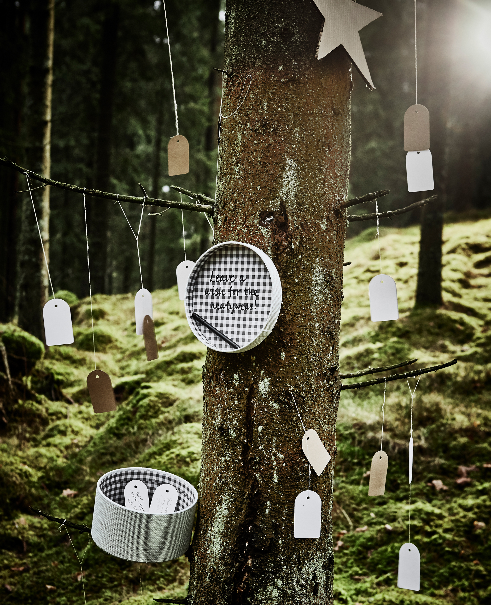 Gift tags tied onto a tree so guests can write a message and leave it in a box for wedding guest book