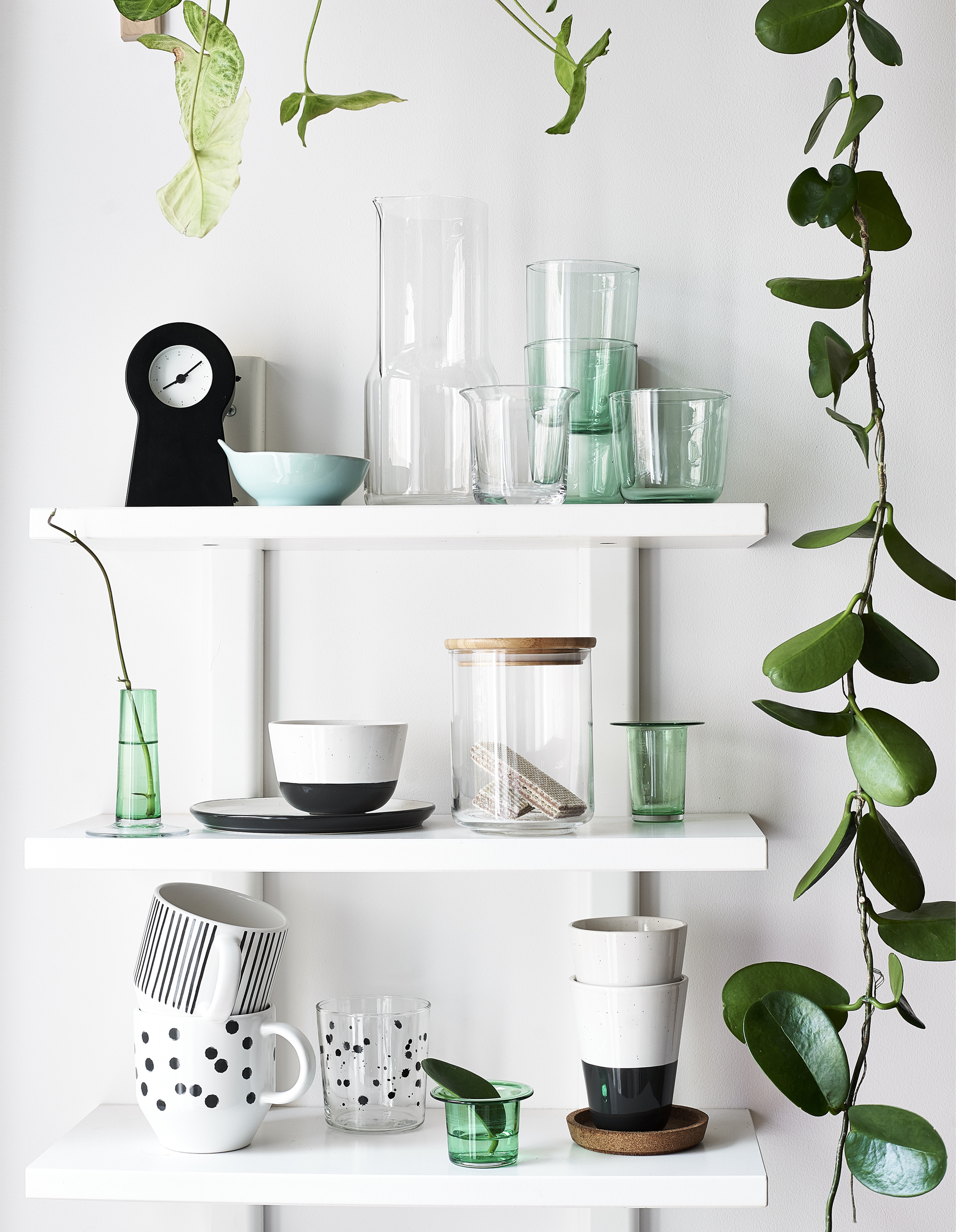Glasses, mugs and plant cuttings displayed on three white shelves.