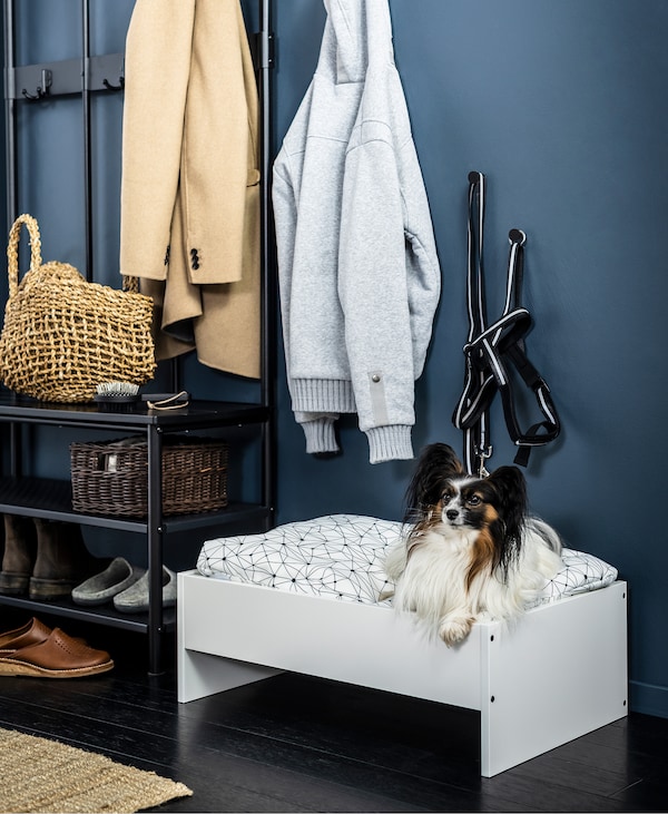 Hallway interior with shelves and wall rack for outdoor clothing. Dog in a dog bed placed next to the shoe shelf.