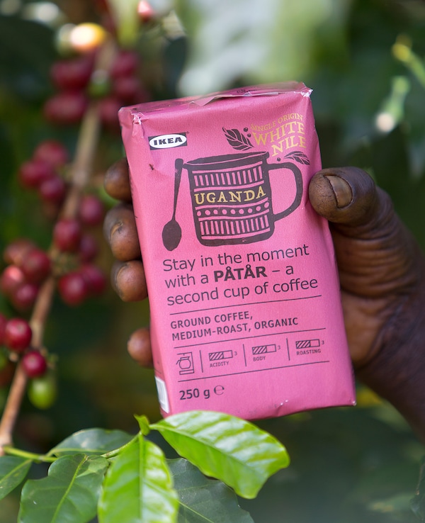 IKEA PÅTÅR comprises 100% Arabica beans from the White Nile region. We want to enable Ugandan small-scale farmers to grow.