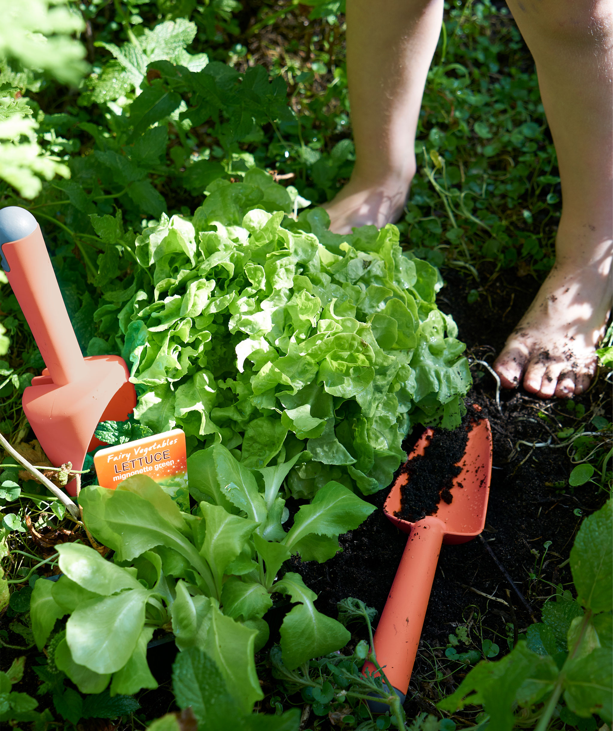 Red plastic gardening tools lying among plants in a garden herb patch.