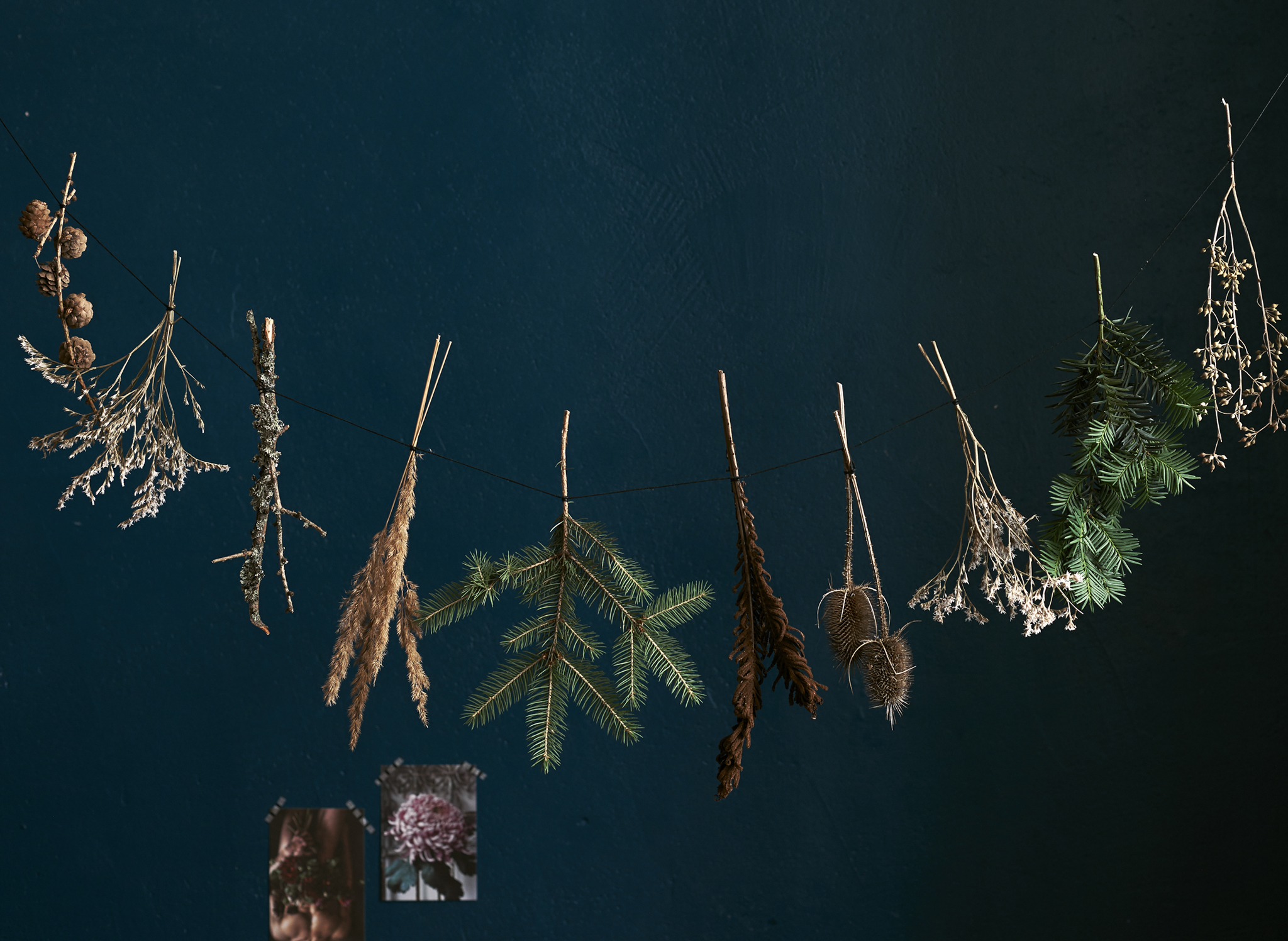 Small bundles of dried foliage hanging in a garland against a dark background.