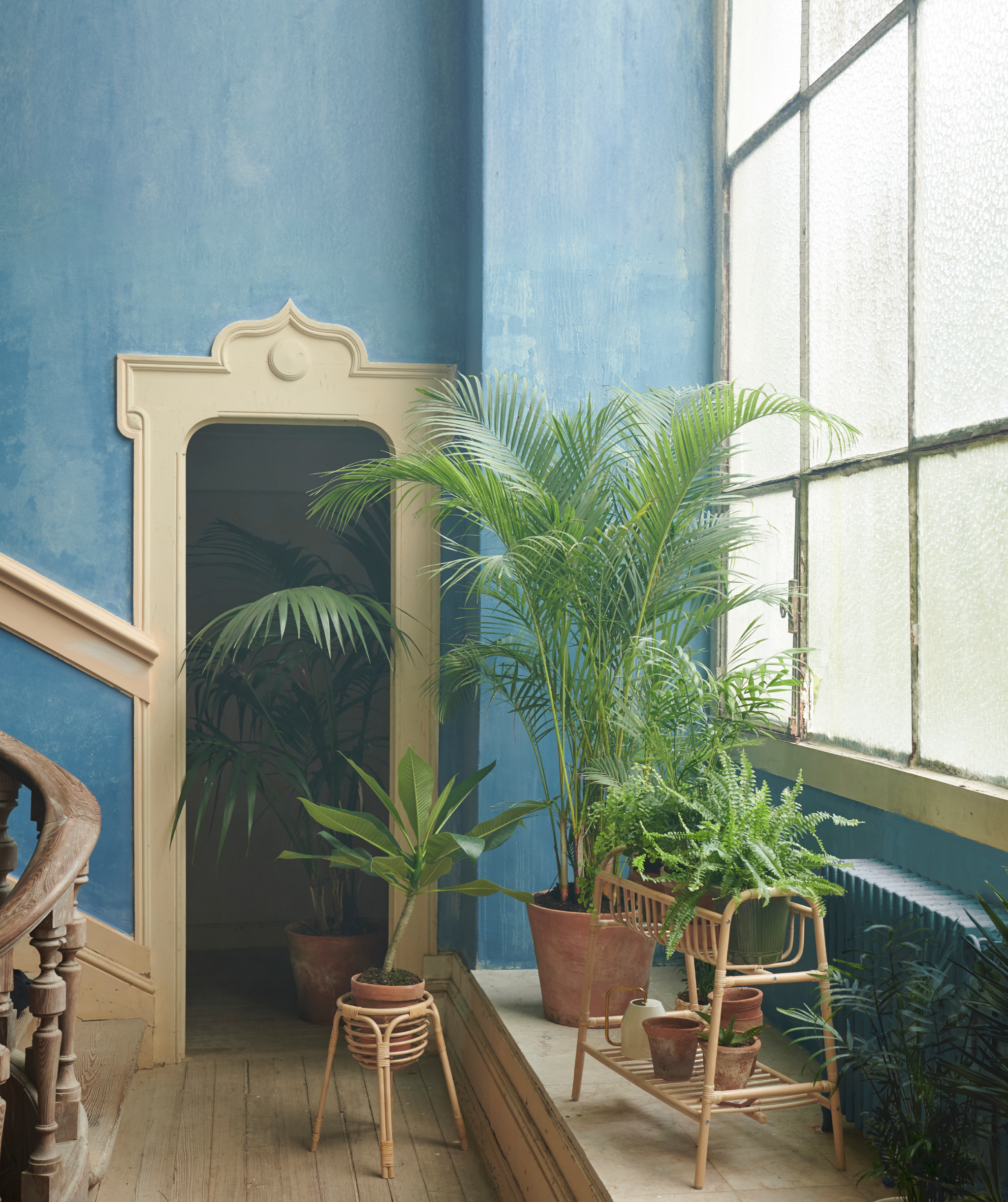 Spacious interior in refined but rough style. Big windows lined with big plants, and smaller ones in a BUSKBO plant stand.