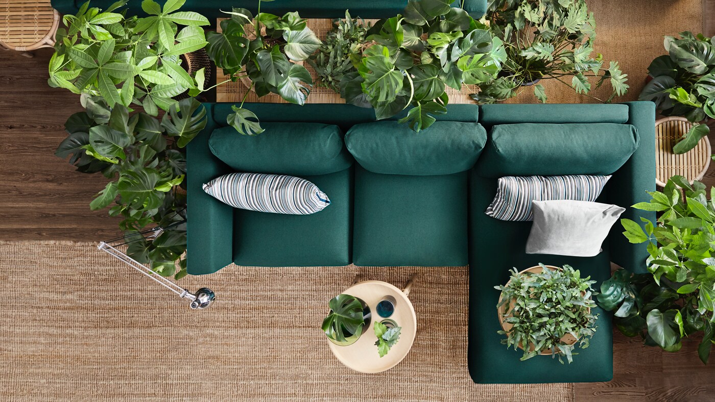 There are several IKEA wooden chairs in the forest