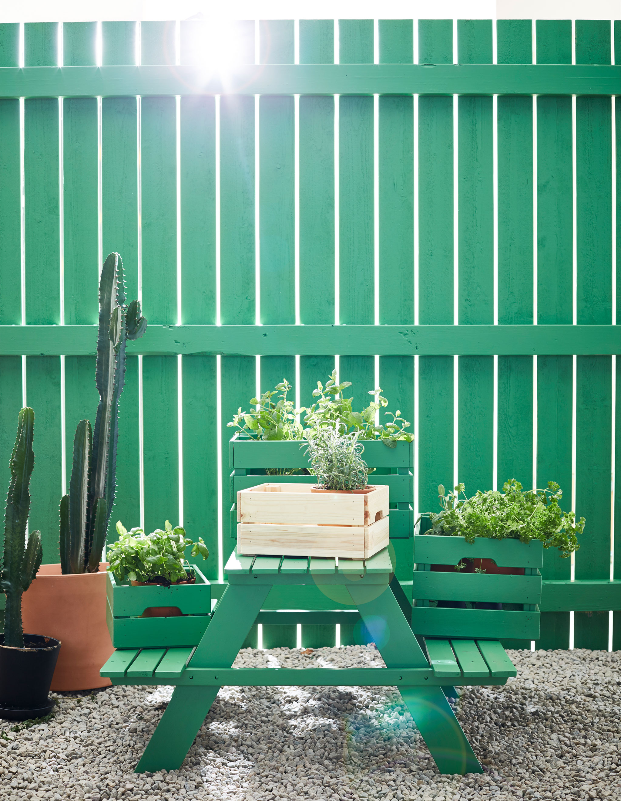 Wooden boxes are filled with potted plants and displayed on a green picnic table.