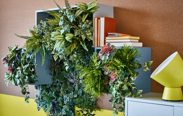 室内植物 基本种植指南 Ikea