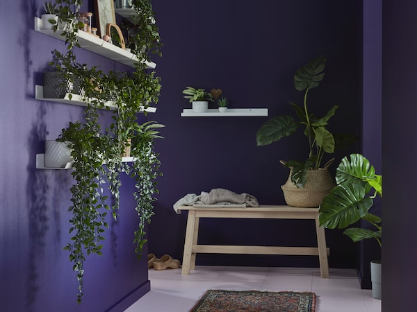 花盆和植物 Ikea